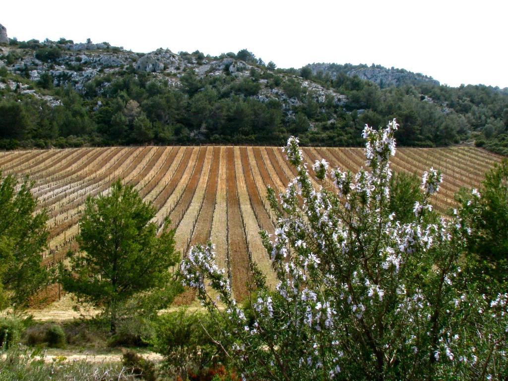 منزل الضيف ناربون  في Mas Du Soleilla المظهر الخارجي الصورة